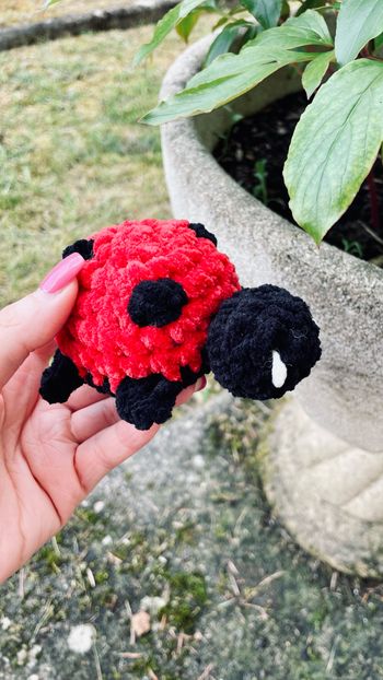 Peluche coccinelle