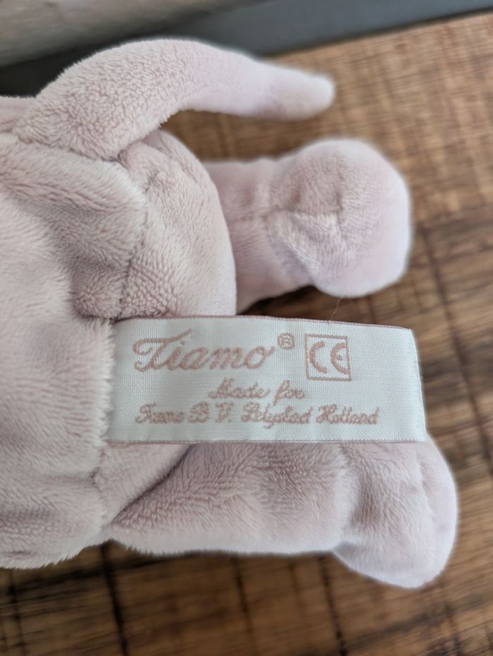 Tiamo - photo numéro 4