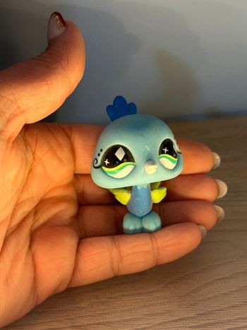 Paon Littlest pet shop