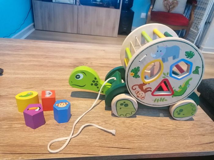 Tortue à formes - photo numéro 2