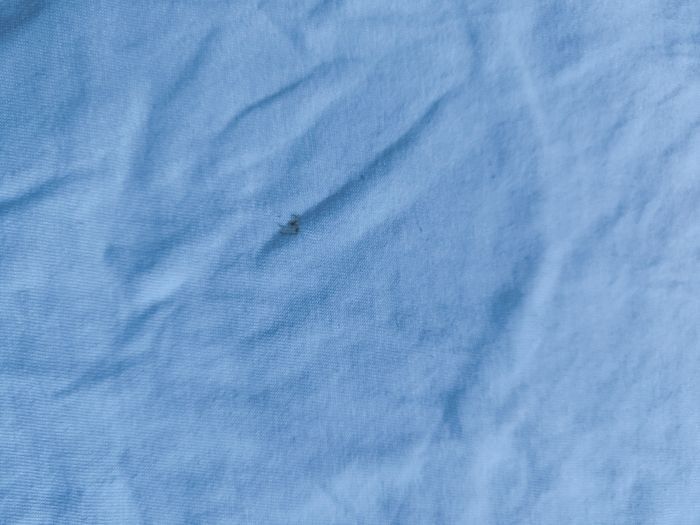 Tee shirt Kiabi 5ans - photo numéro 3