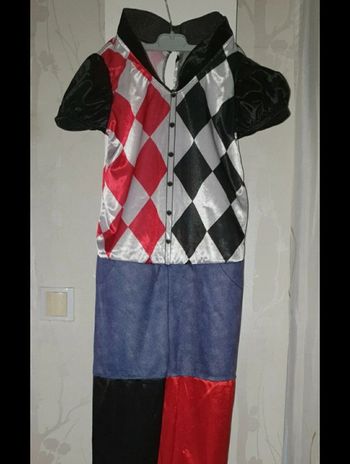 Déguisement Harley Quinn