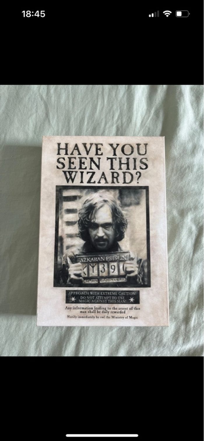 Cadre lumineux Harry Potter Sirius Black