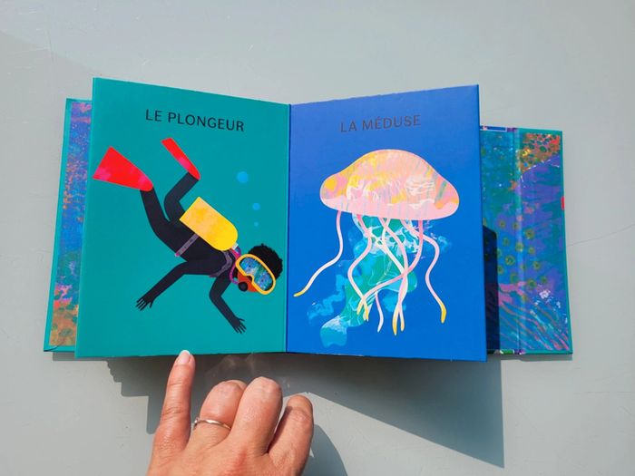 Superbe livre accordéon Amaterra 🪸 Sous la Mer 🐡 - photo numéro 13
