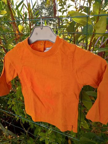 Tee-shirt 12 mois 1 an