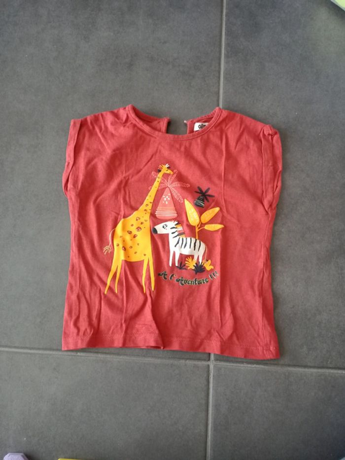 Lot tee shirts manches courtes, 24 mois - photo numéro 2