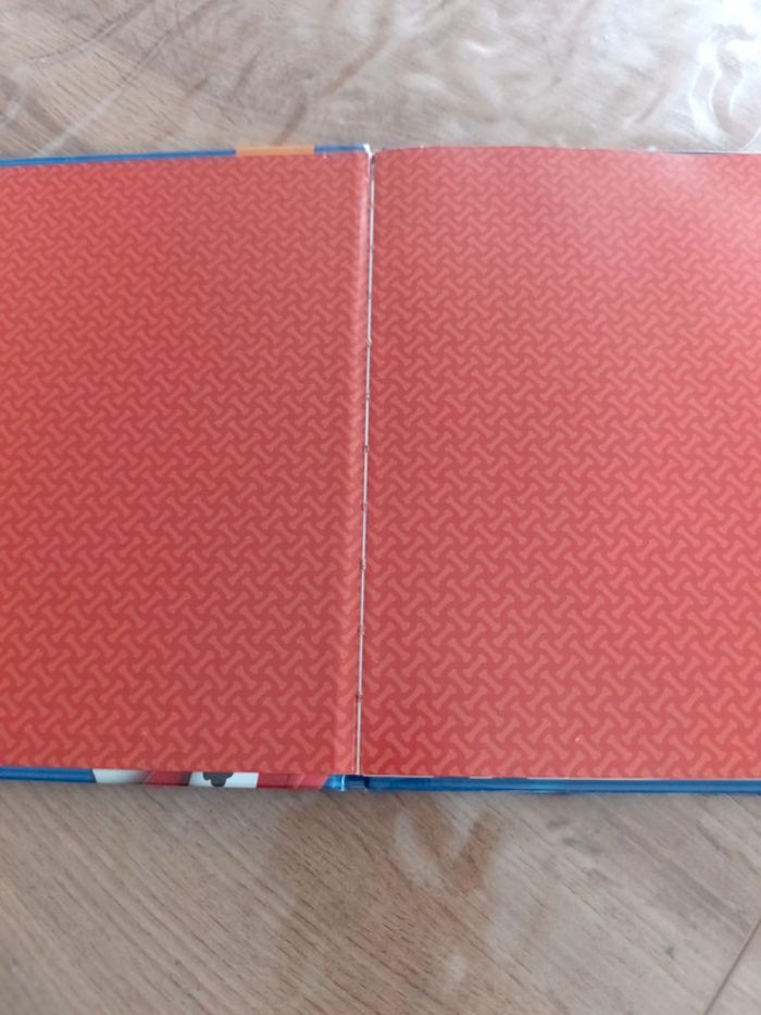 Livre paw patrol - photo numéro 2