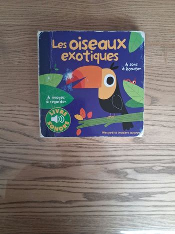 Livre sonore