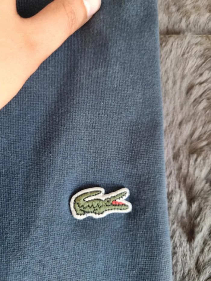 Polo manches courtes Lacoste bleu, S Hommes - photo numéro 5
