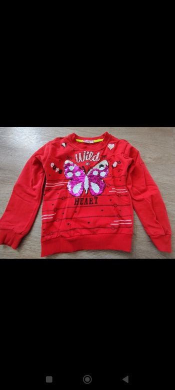 Pull papillon