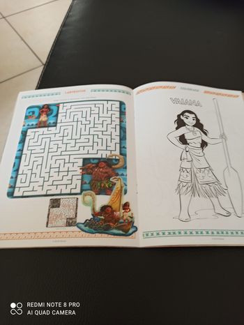 Livre d activités Vaiana disney