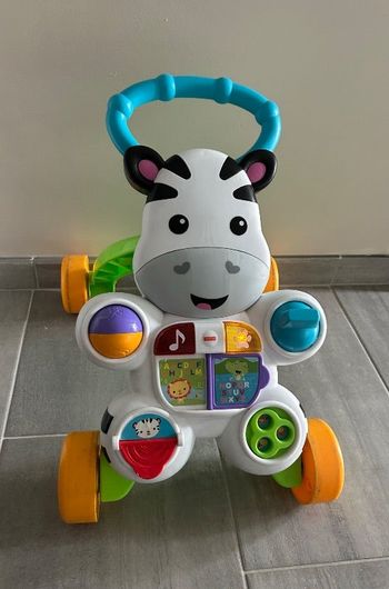 Pousse pousse zèbre