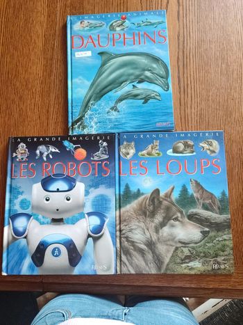 Livres la grande imagerie