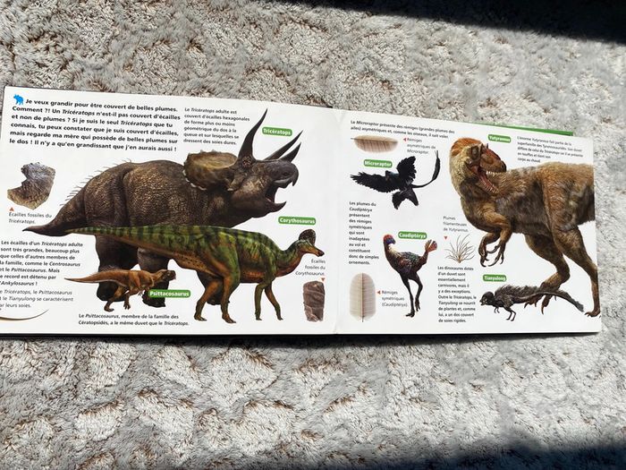 Livre pop up je suis un tricératops - photo numéro 5