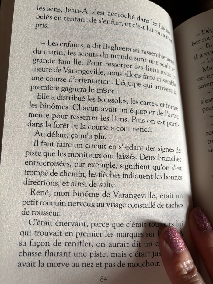 Livre l’omelette au sucre - photo numéro 7