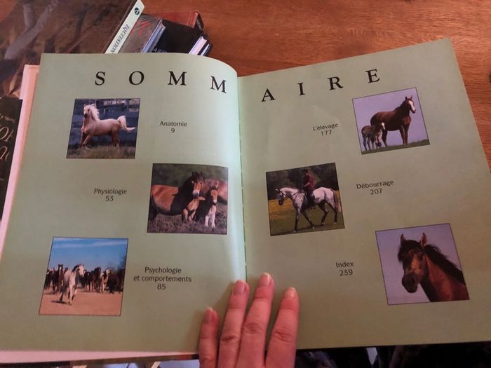 Le cheval atlas nature - photo numéro 3