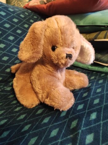 (4) peluche 