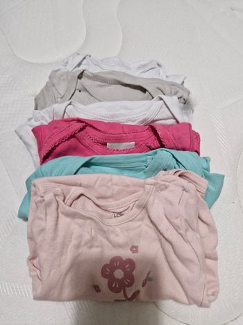 Lot de 6 bodies manches courtes