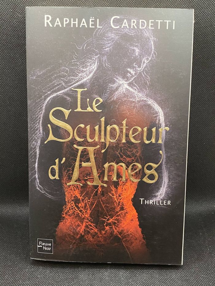 Le Sculpteur d'Ames - Roman broché