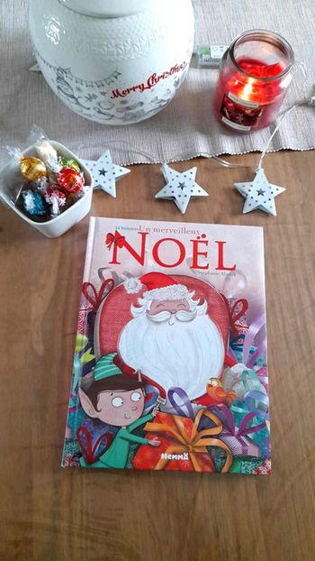 Livre 24 histoires pour un merveilleux Noël