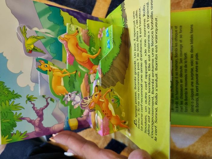 Livre bambi - photo numéro 5