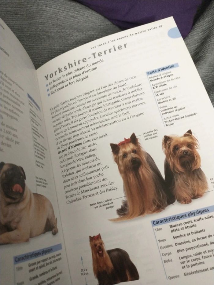 Le guide de référence du chien par docteur Bruce folge - photo numéro 10