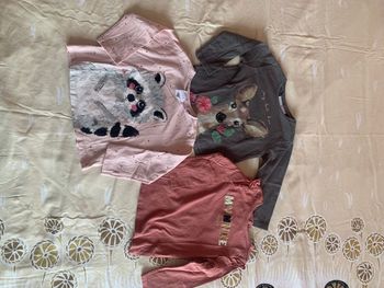 Lot t-shirts ML