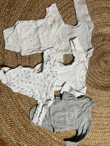 Lot bodies