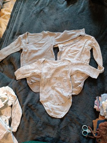Lot 3 bodies