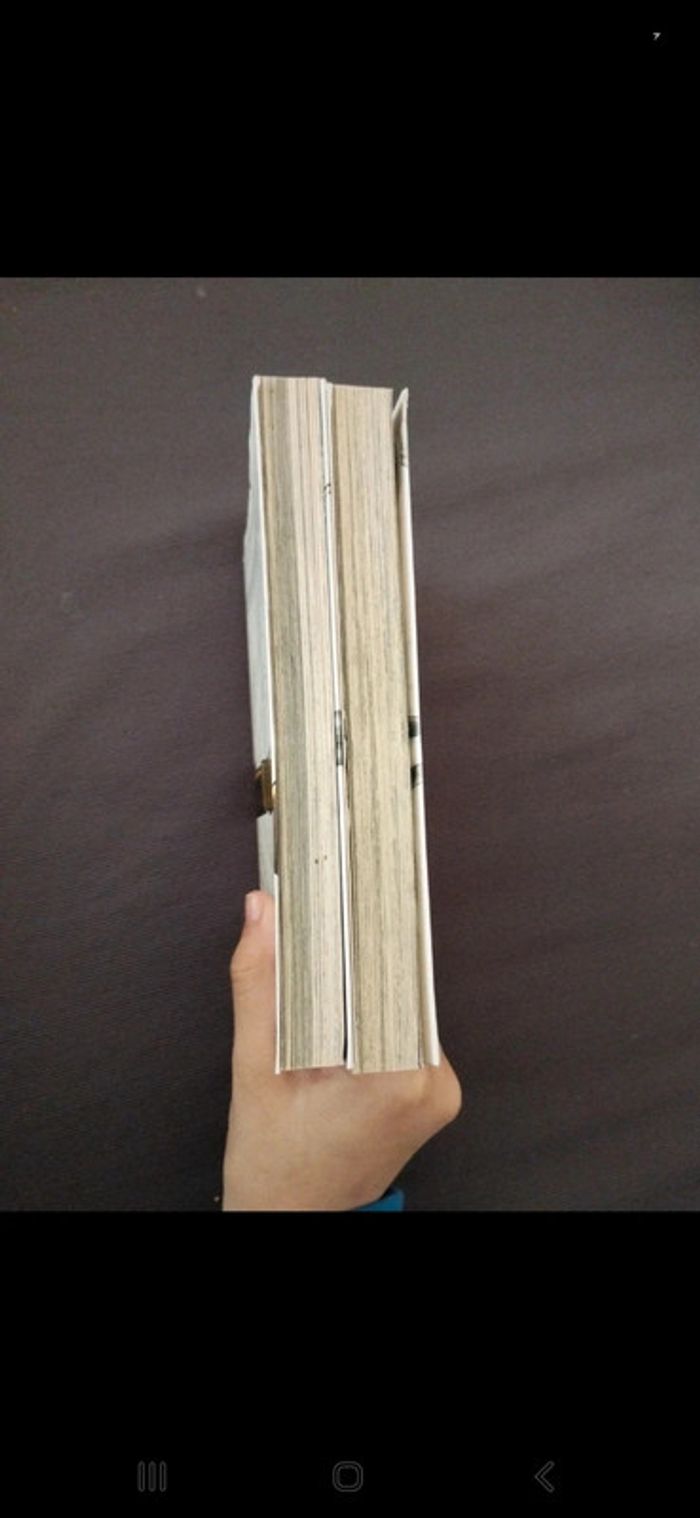 Manga Stigmata 2 tomes - photo numéro 4