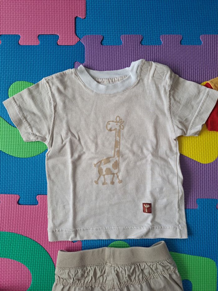 Lot 2 t-shirts + 2shorts 12m - photo numéro 6