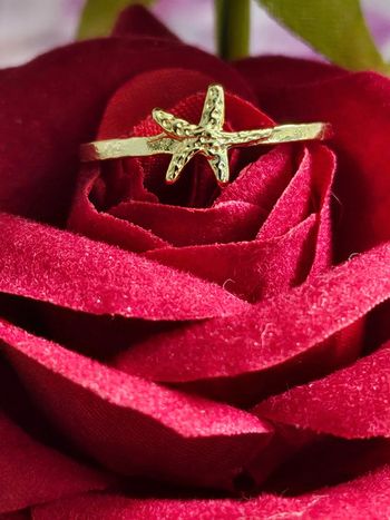 Bague avec son étoile de mer en acier inoxydable