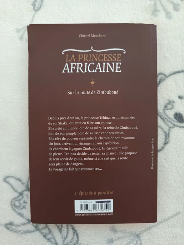 Livre africaine - photo numéro 2
