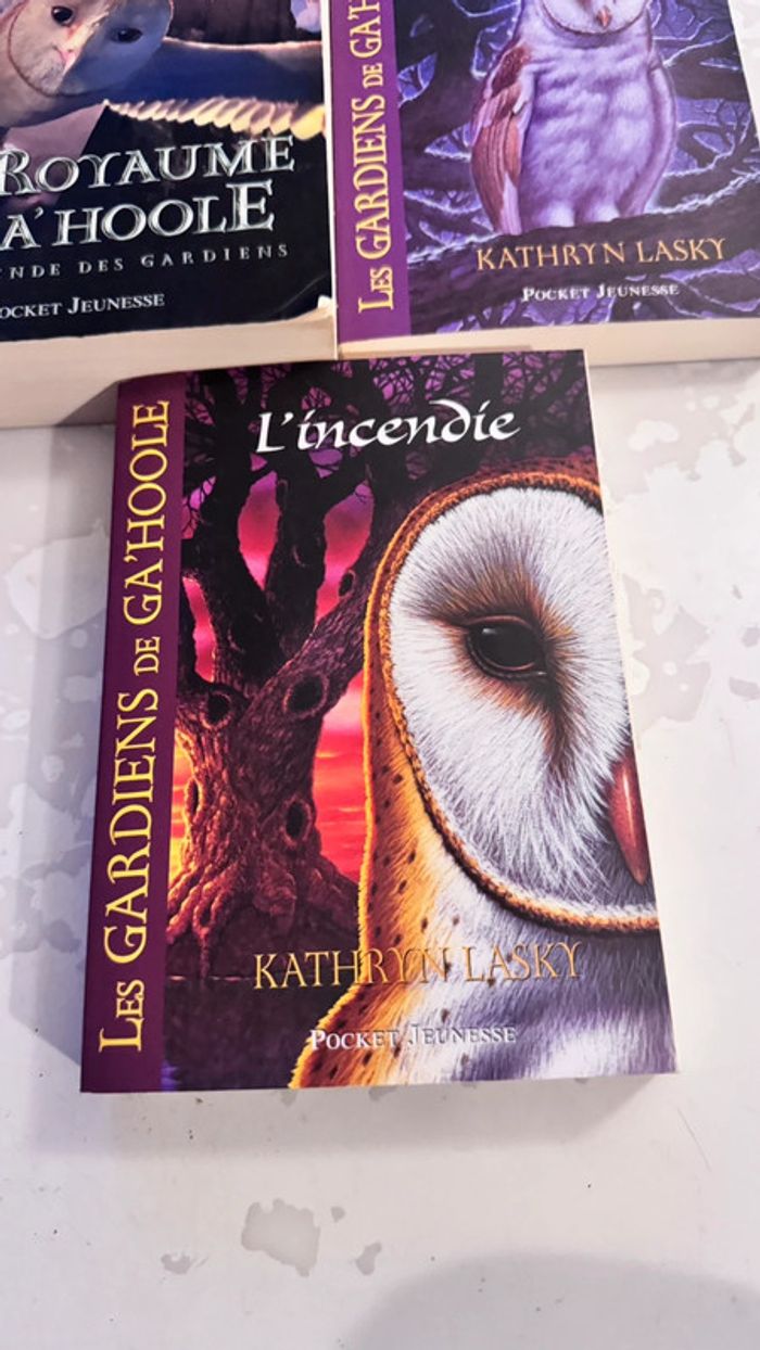 Lot 3 livres Les Gardiens de Ga’Hoole – Kathryn Lasky – Tomes 1 à 3 + 5 & 6 – Pocket Jeunesse - photo numéro 4