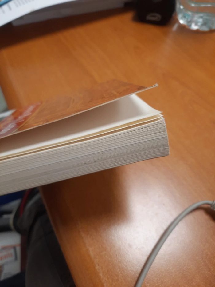 Document plonger dans un clan arabe - photo numéro 6