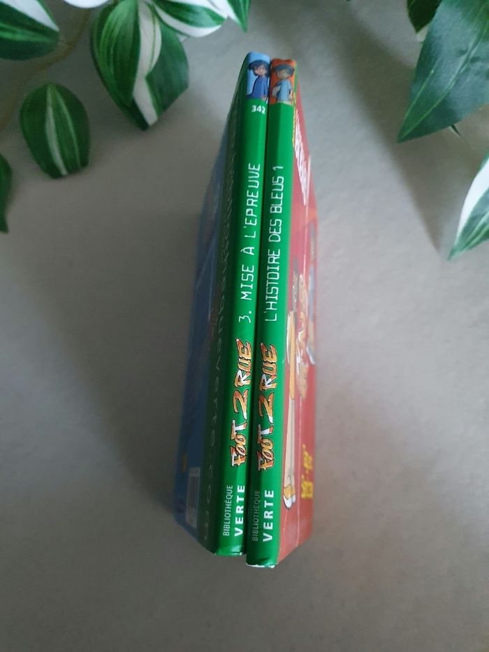 Lot de 2 livres foot de rue : tome 3 et l'histoire des bleus - photo numéro 3