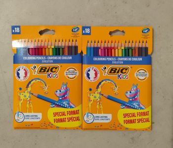 Crayons de couleur Bic