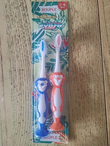 Lot de brosse à dents