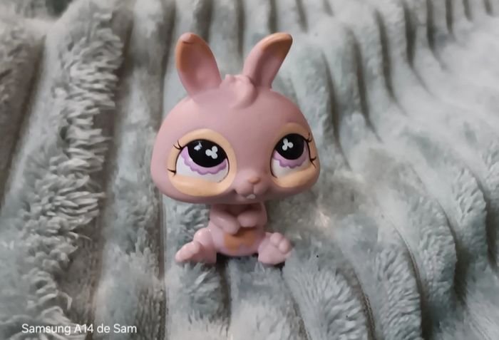 Petshop lapin 667