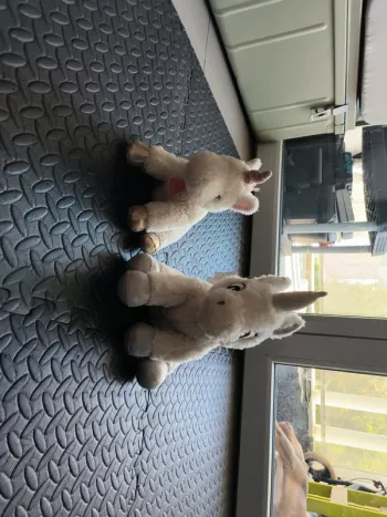Lot de 2 peluches licorne