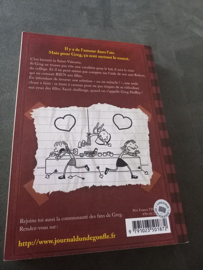 Livre journal d'un dégonflé roman tome 7 - photo numéro 2