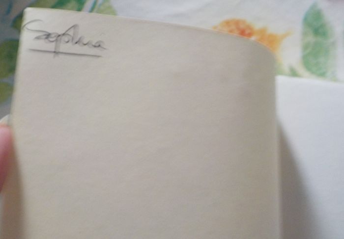 ROUGE BRESIL de Jean-Christophe RUFIN Ed. Gallimard - photo numéro 6