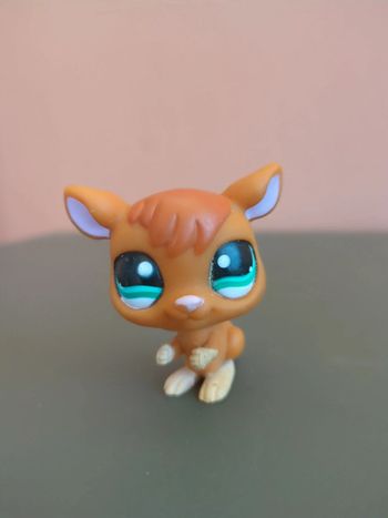 Littlest Petshop Lps Kangourou