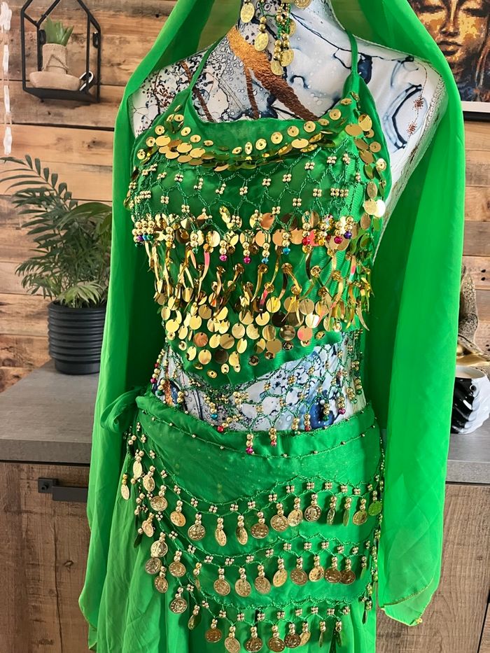 Tenue indou carnavalesque - photo numéro 5