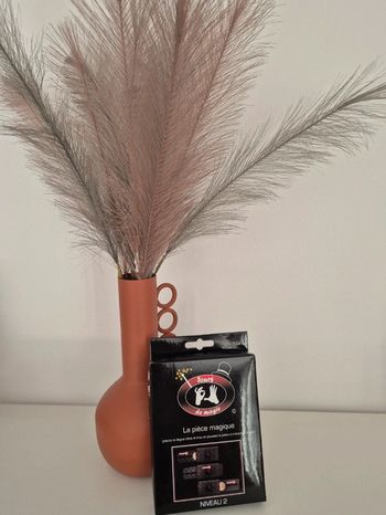 Jeu de magie : la pièce magique