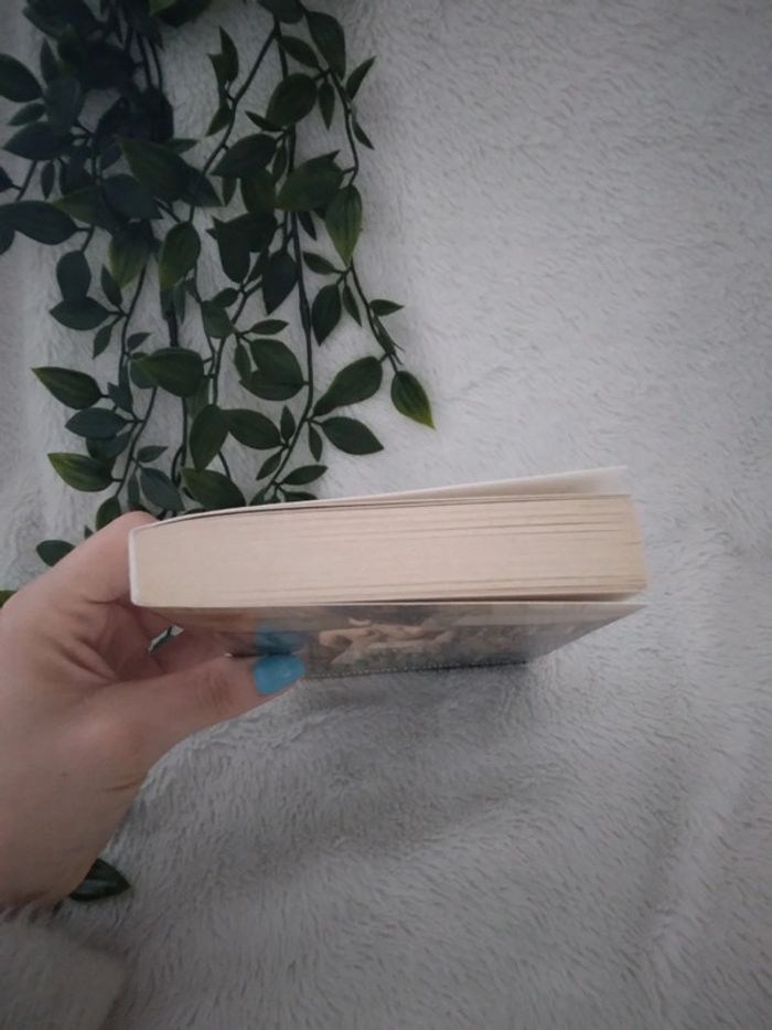 🌸Livre un envoûtant rendez-vous de Nora Roberts🌸 - photo numéro 2