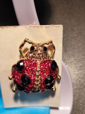Superbe broche en forme de coccinelle super superbe broche en forme de coccinelle de coccinelle neuve rouge de couleur rouge et noir et doré la longueur 3 cm environ l'envoi est rapide et soigner son prix de 12 €