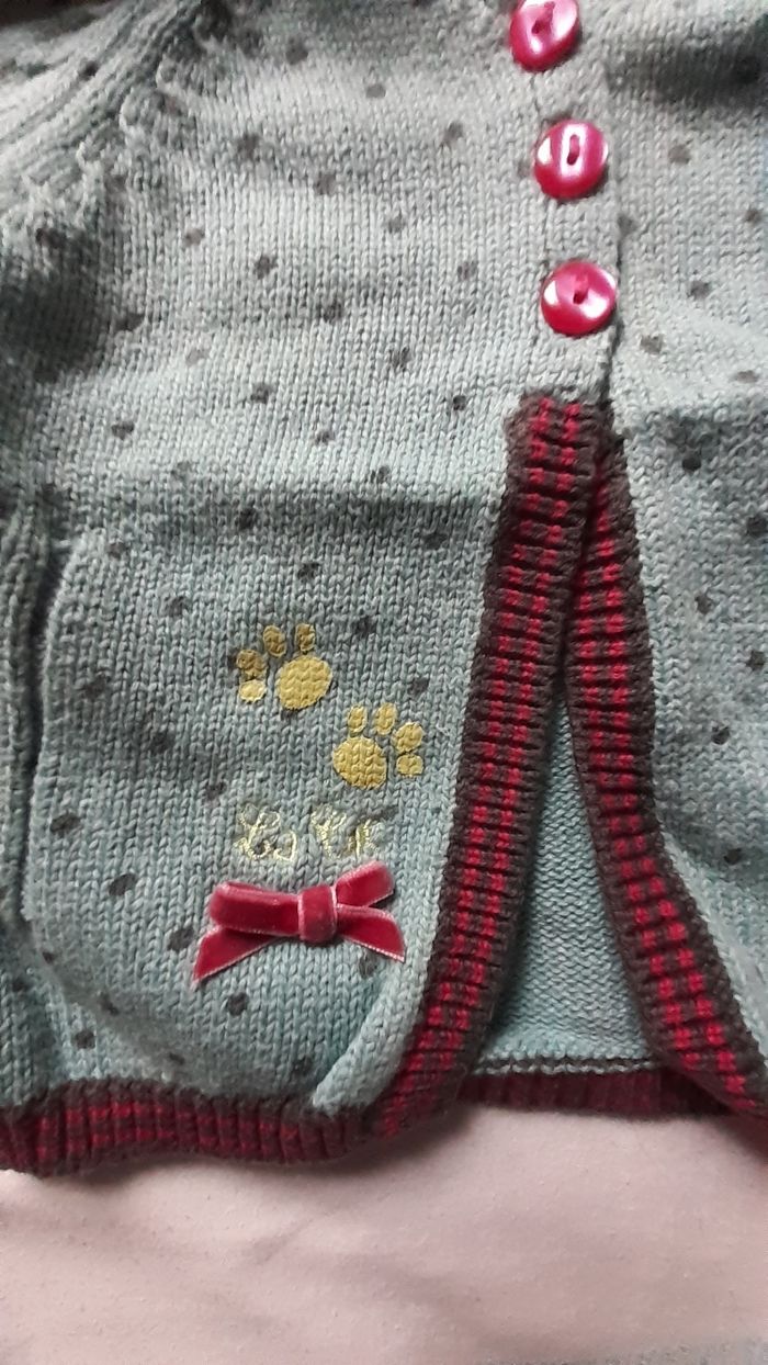 Veste bleue verte à petits pois gris avec bordure rose et grise - photo numéro 3