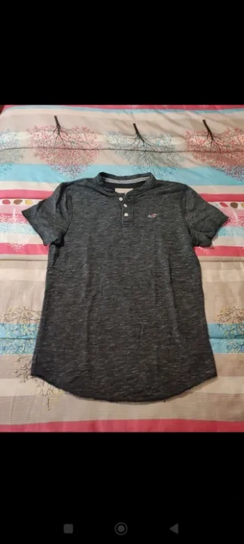Tee shirt Hollister T M