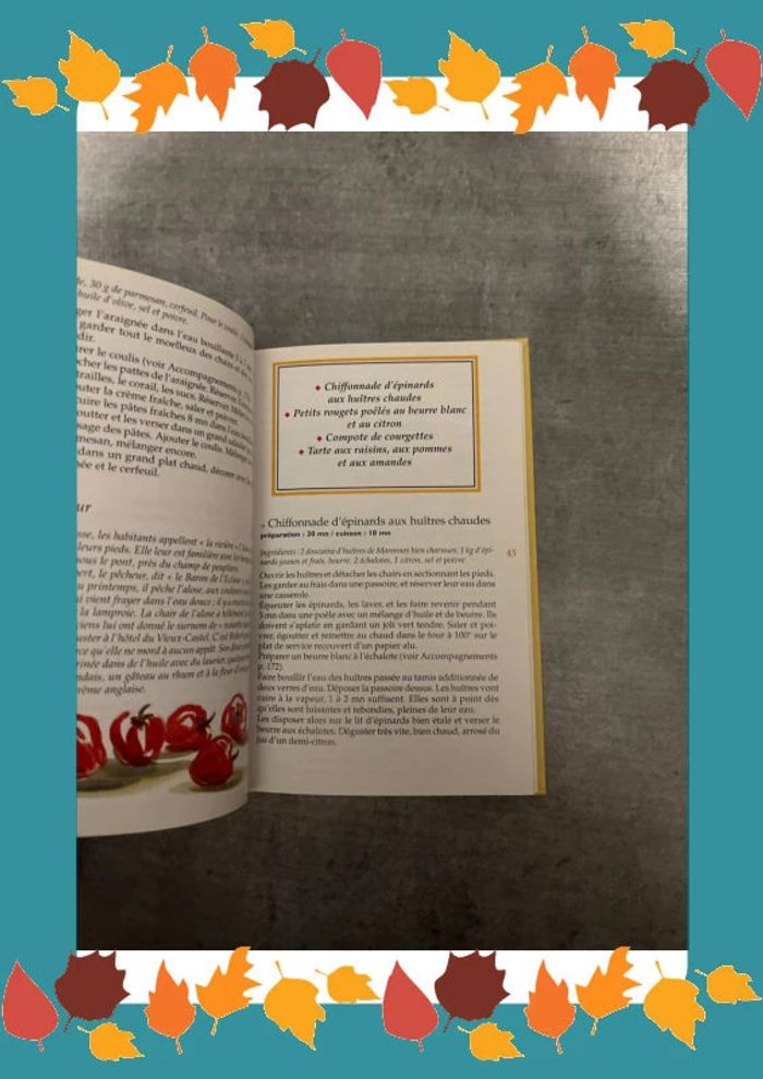 Livre cuisine d’été - photo numéro 3